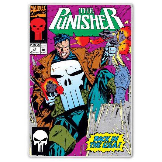 The Punisher - Back in USA